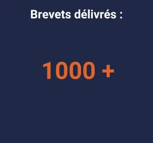 Brevets délivrés 1000+